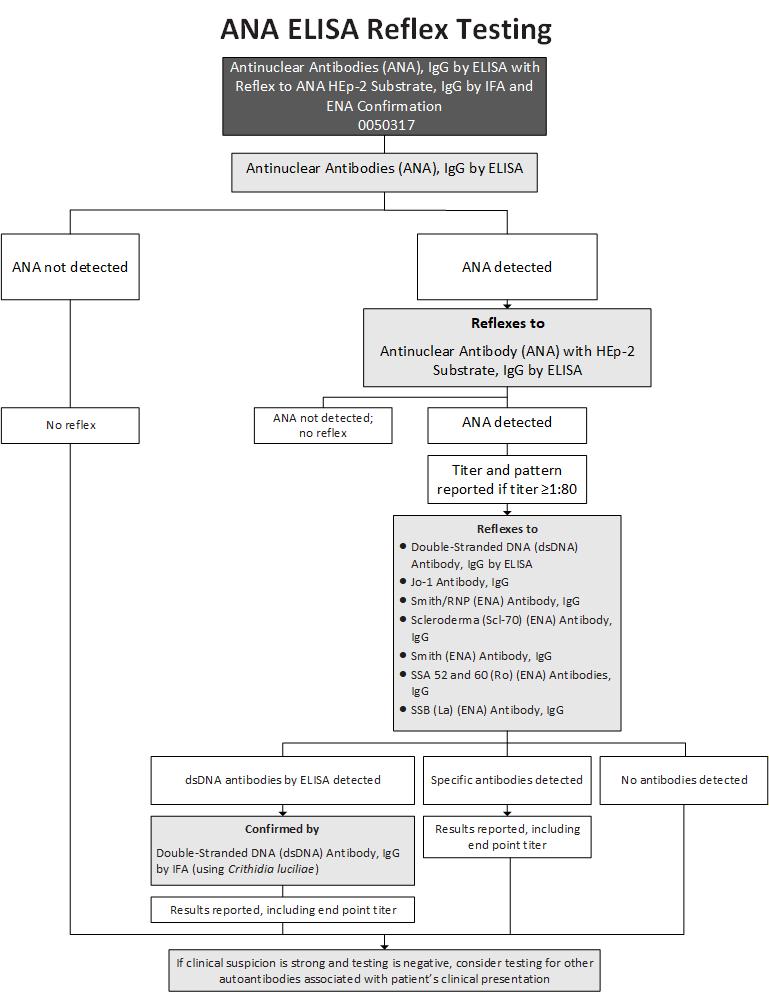 ANA ELISA Reflex Testing Algorithm